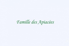 013.-Apiacées